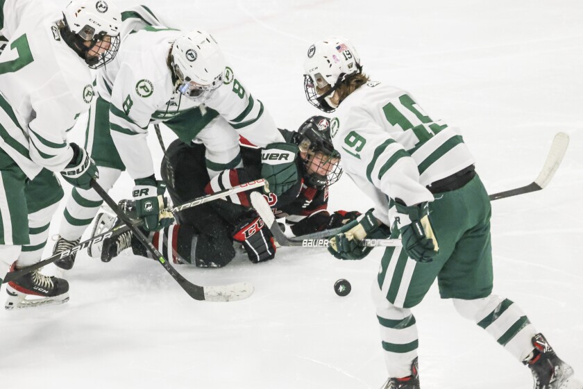 Prep boys hockey preview: Proctor Rails - Duluth News Tribune | News ...