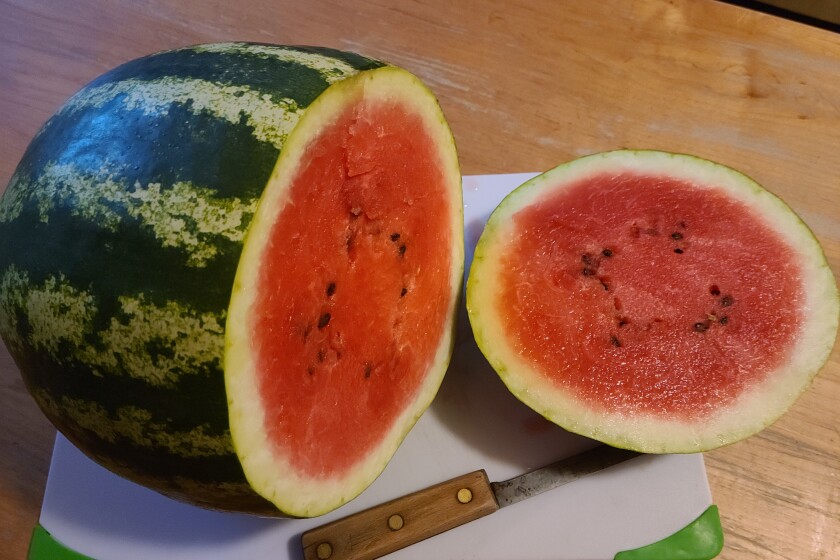 watermelon 1.jpg