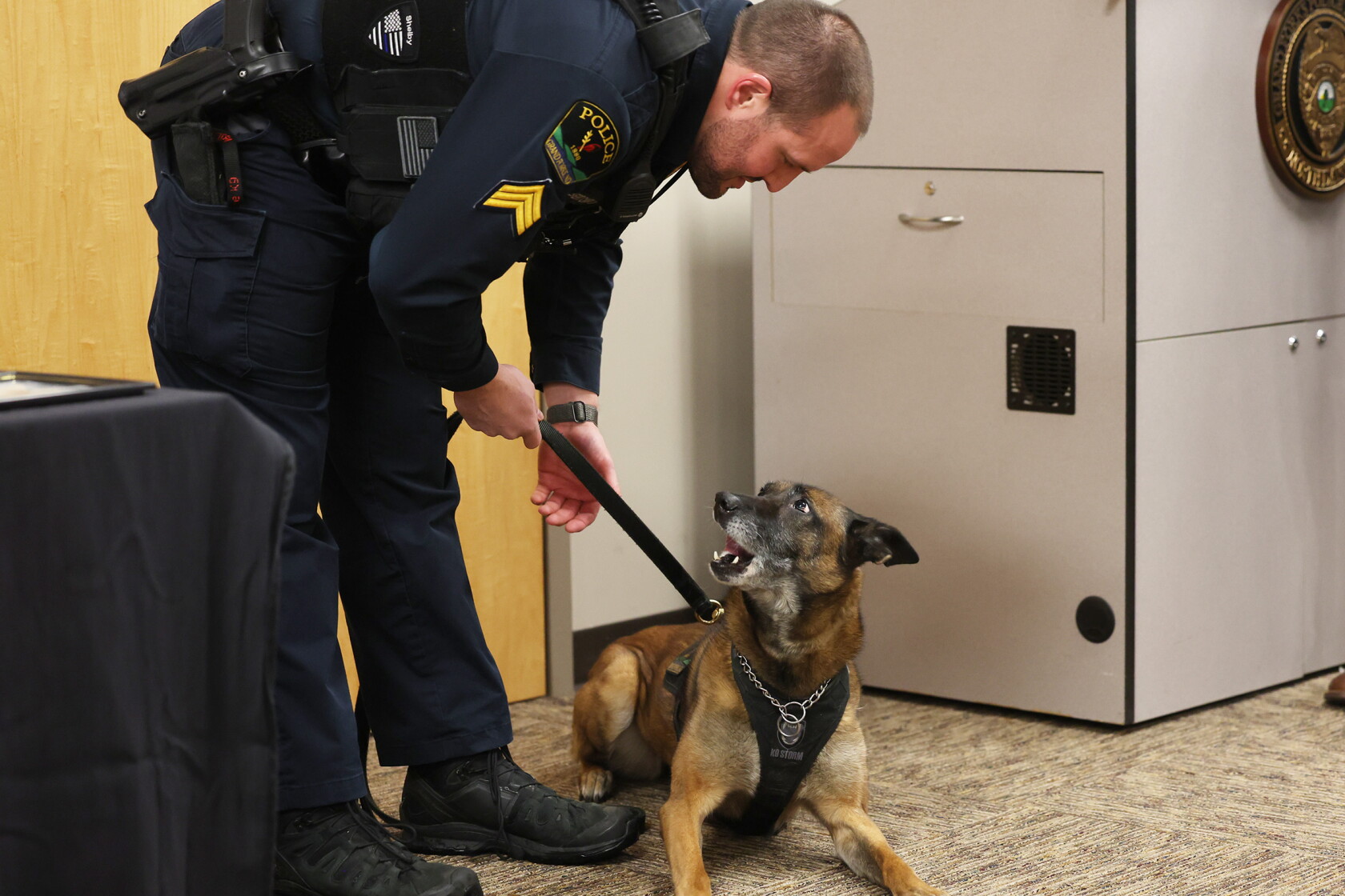 Forks Pd Longest-serving Grand Forks Police Department K9 to retire next month ...