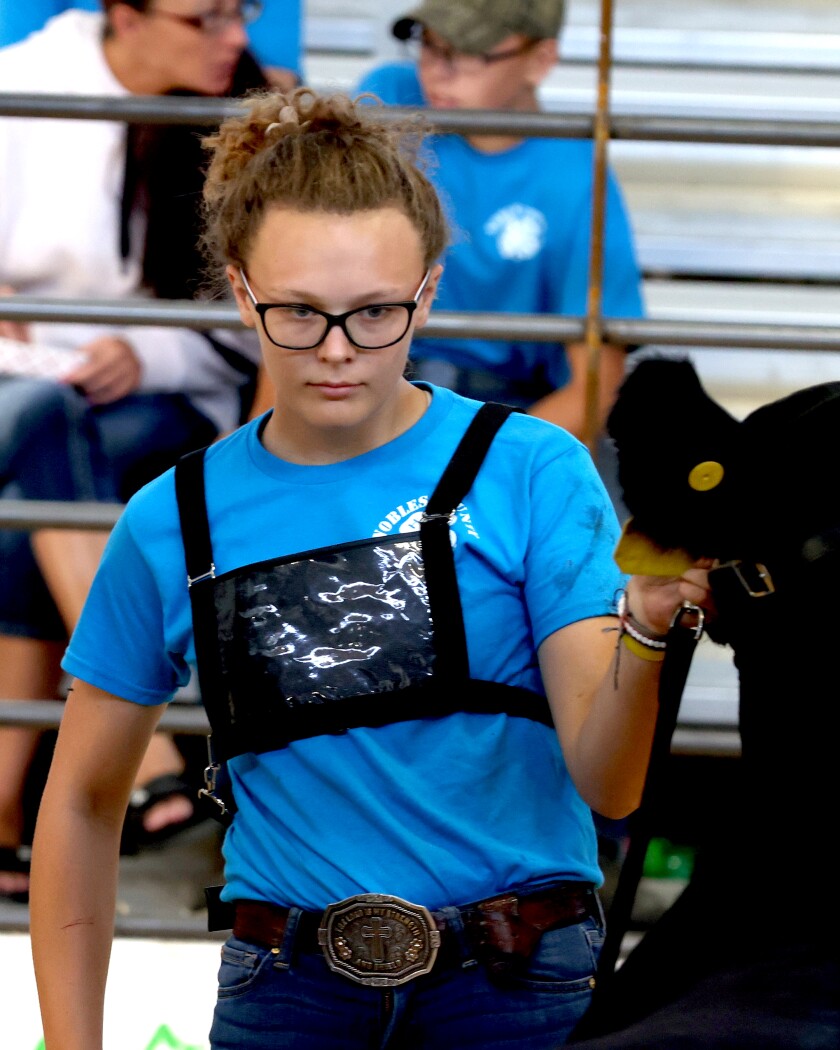 Alexa Kilker from the 4-H Clovers holds her Senior Yearling Breeding Heifers during judging at the Nobles County 4-H Beef Show in the Olson Arena Thursday, Aug. 4, 2022.