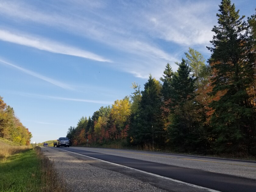 Mature trees of various colors line Highway 34 in Minnesota
