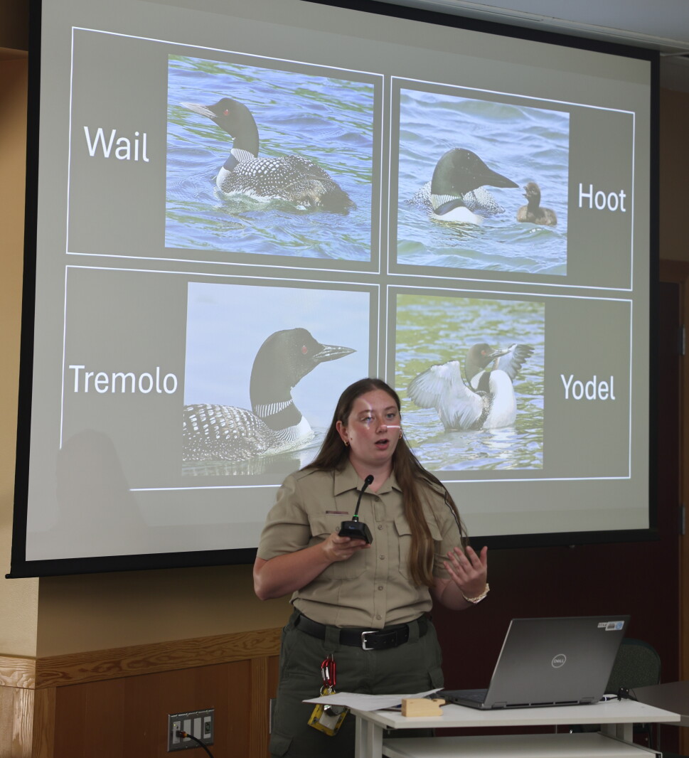 An afternoon with loons at Itasca State Park
